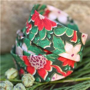 Bias Binding Christmas - Christmas Green